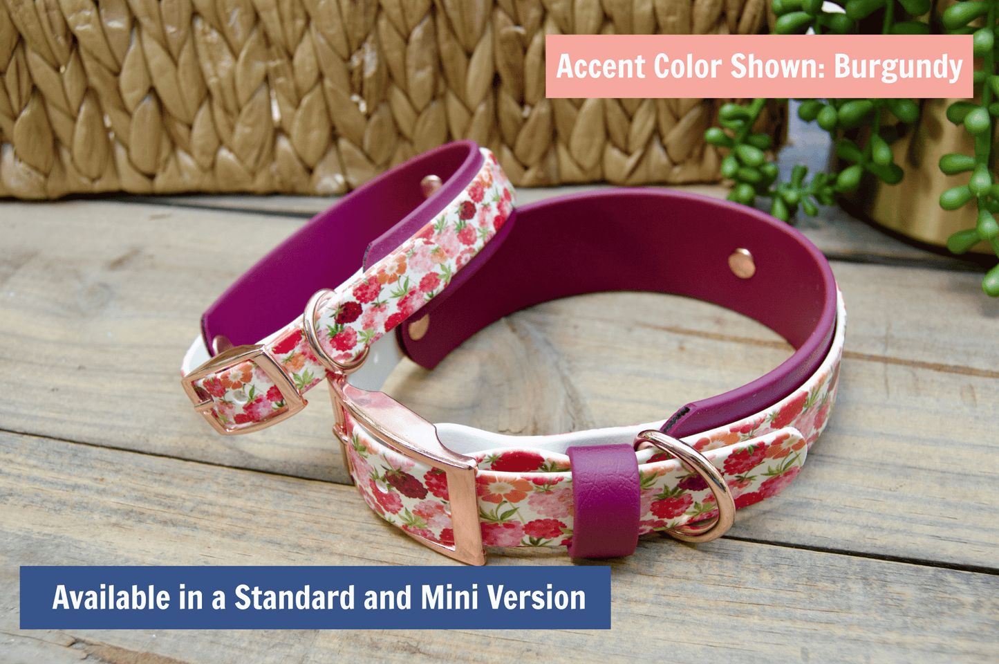mini and standard raspberries collars stacked