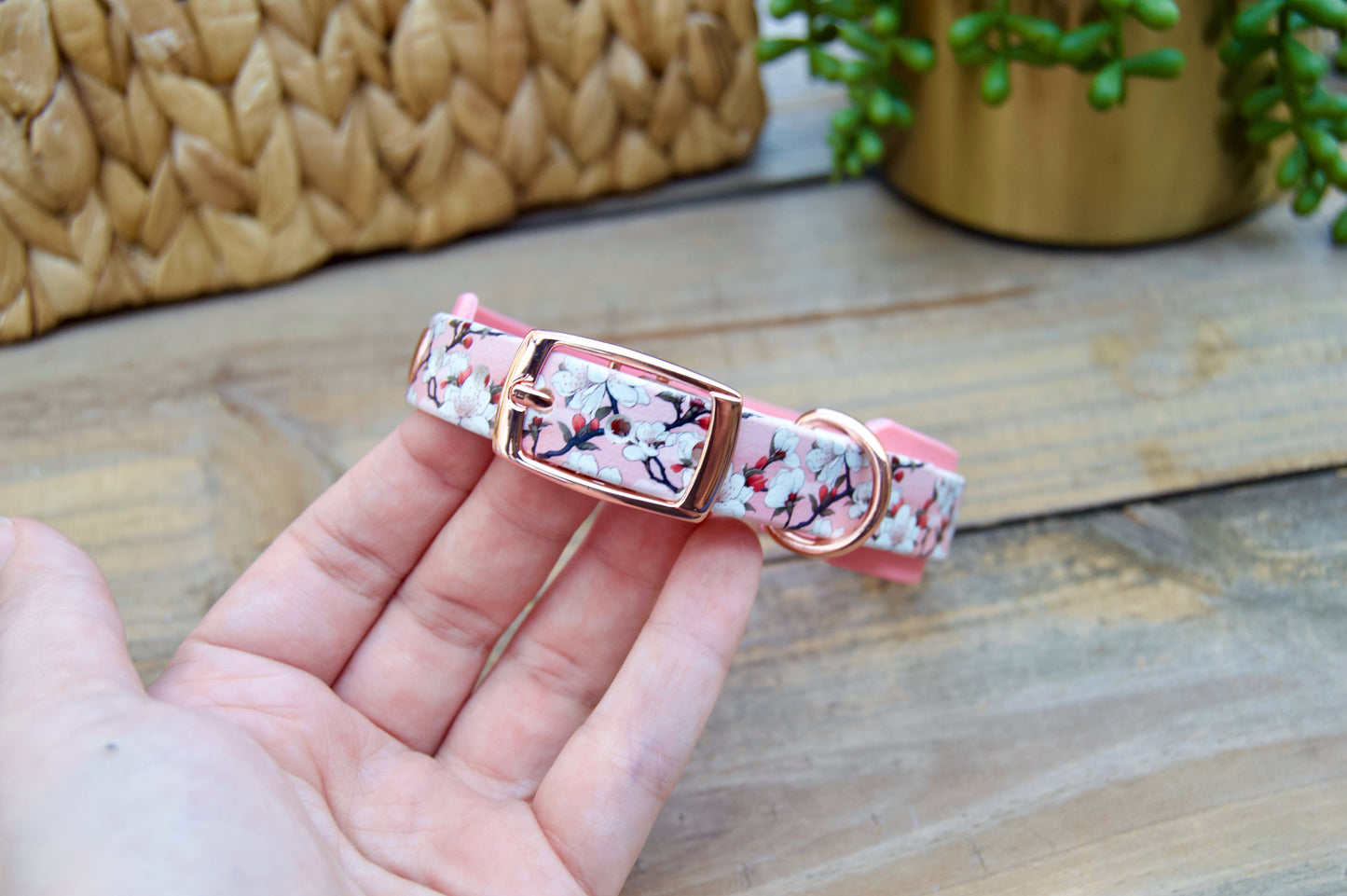 cherry blossom patterned biothane dog collar with pastel pink accents held