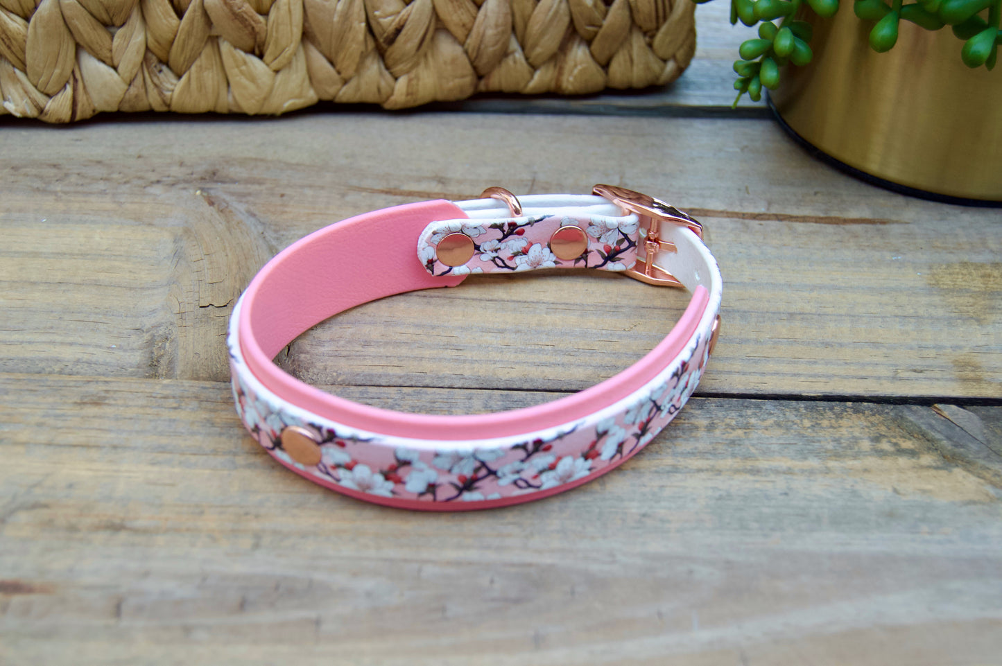 cherry blossom patterned biothane dog collar with pastel pink accents on a wooden surface