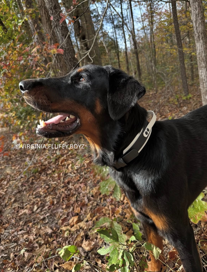 Sport Handle Double Layer Biothane Dog Collar