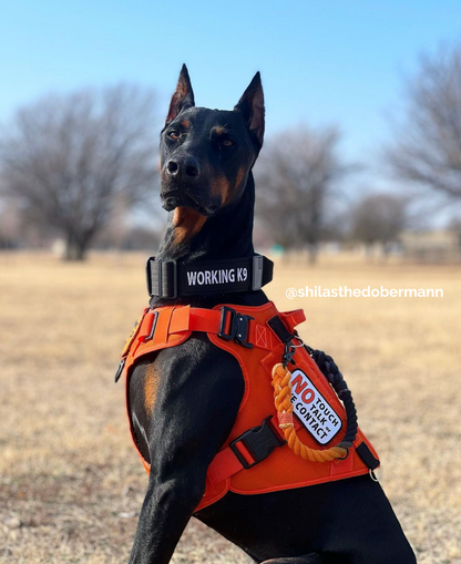 Custom Two Color Service Dog Rope Pull Strap