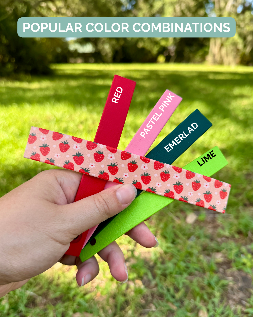 Strawberry: Printed Double Layer Biothane Dog Collar