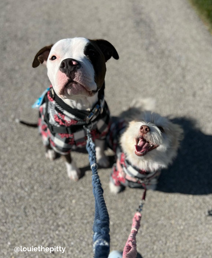 RIP TIDE: Handsfree Rope Dog Leash with Traffic Handle