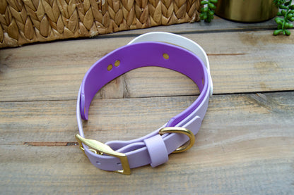 RTS Large 16-19 INCH Lilac and Amethyst Sport Handle Biothane Dog Collar