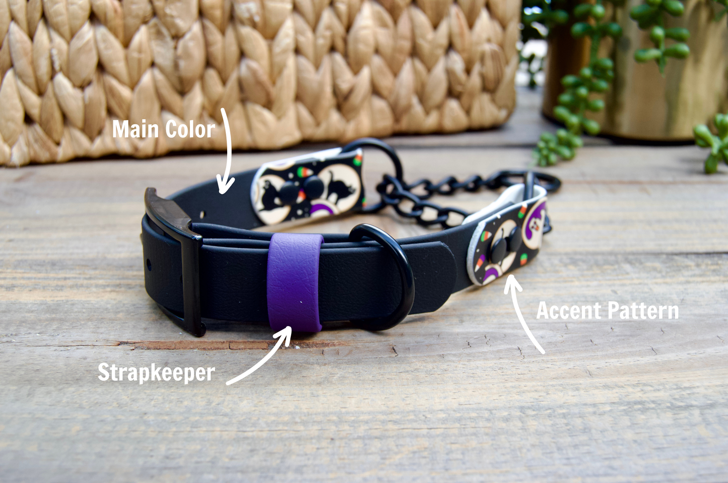 SCRAP SALE: Accent Biothane Chain Martingale