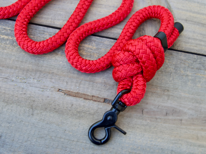 VENTURE Nylon Rope Dog Leash