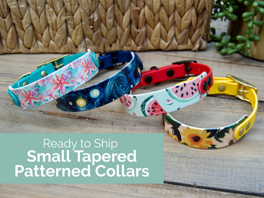 RTS Mini Tapered Patterned Biothane Dog Collar
