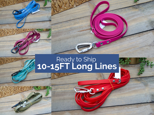 RTS 10 and 15 FOOT Classic Biothane Long Lines with Locking Carabiner