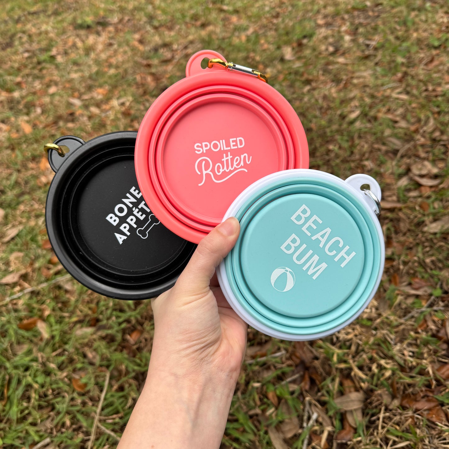 Collapsible Travel Dog Bowl