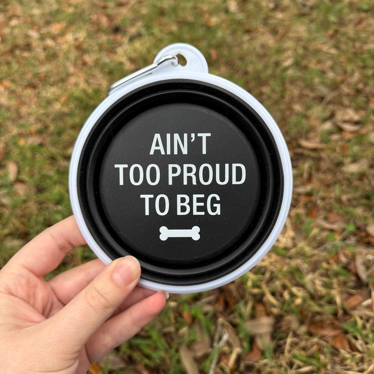 Collapsible Travel Dog Bowl