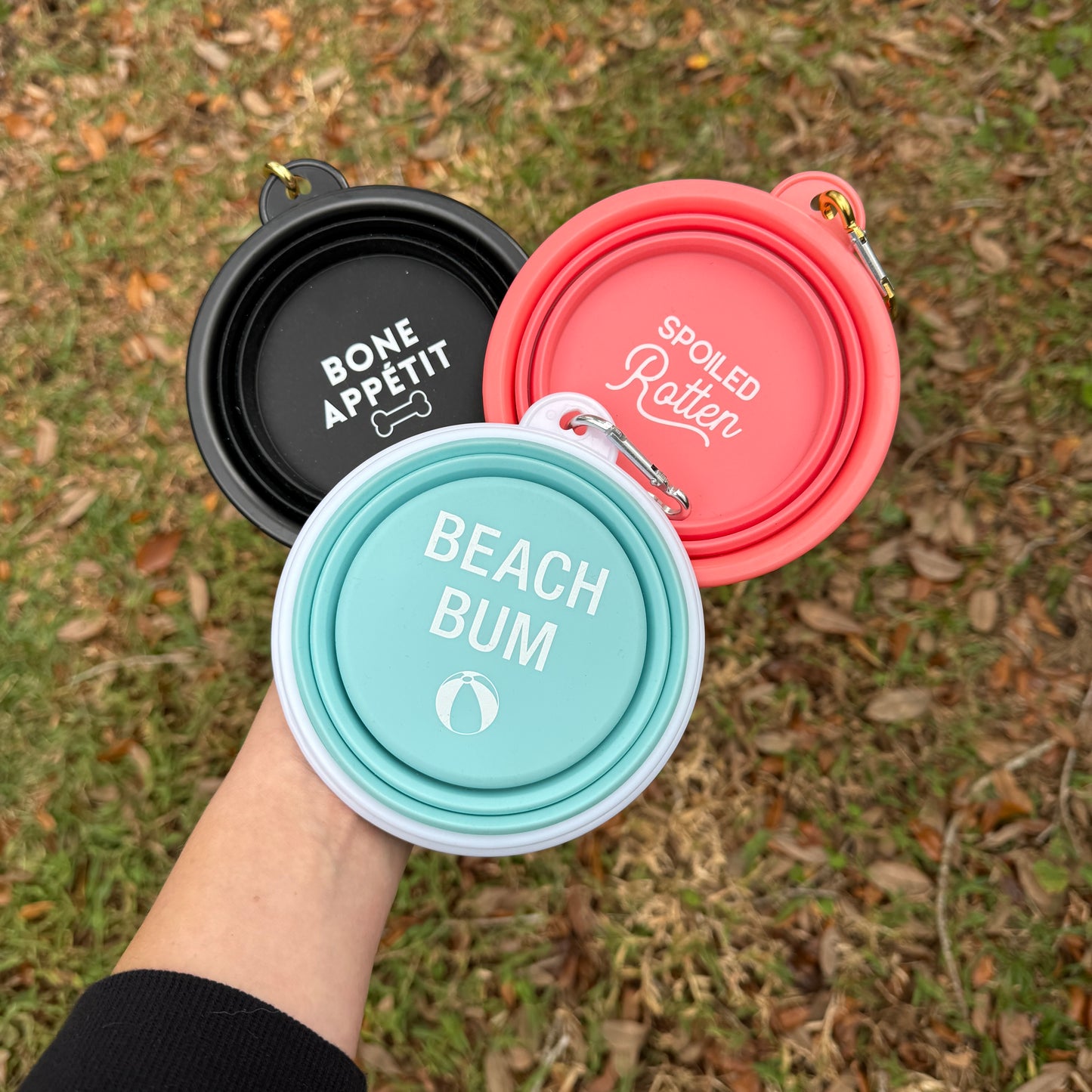 Collapsible Travel Dog Bowl