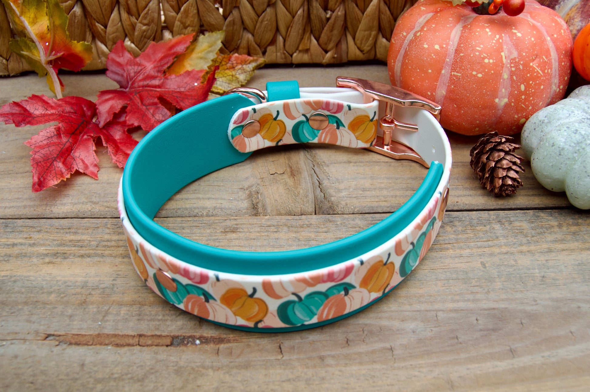 Dog collar with colorful pumpkins pattern on a wooden surface with pumpkins and leaves.