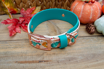 pumpkins-patterned dog collar with teal band on a wooden surface with autumn leaves and pumpkins decorations