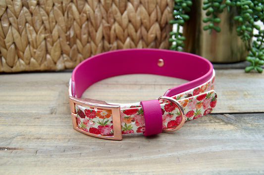 RTS XLarge 19-22 INCH Raspberries and Magenta Printed Double Layer Biothane Dog Collar