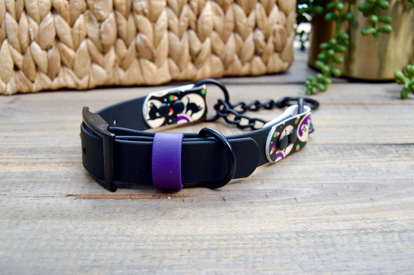 SCRAP SALE: Accent Biothane Chain Martingale