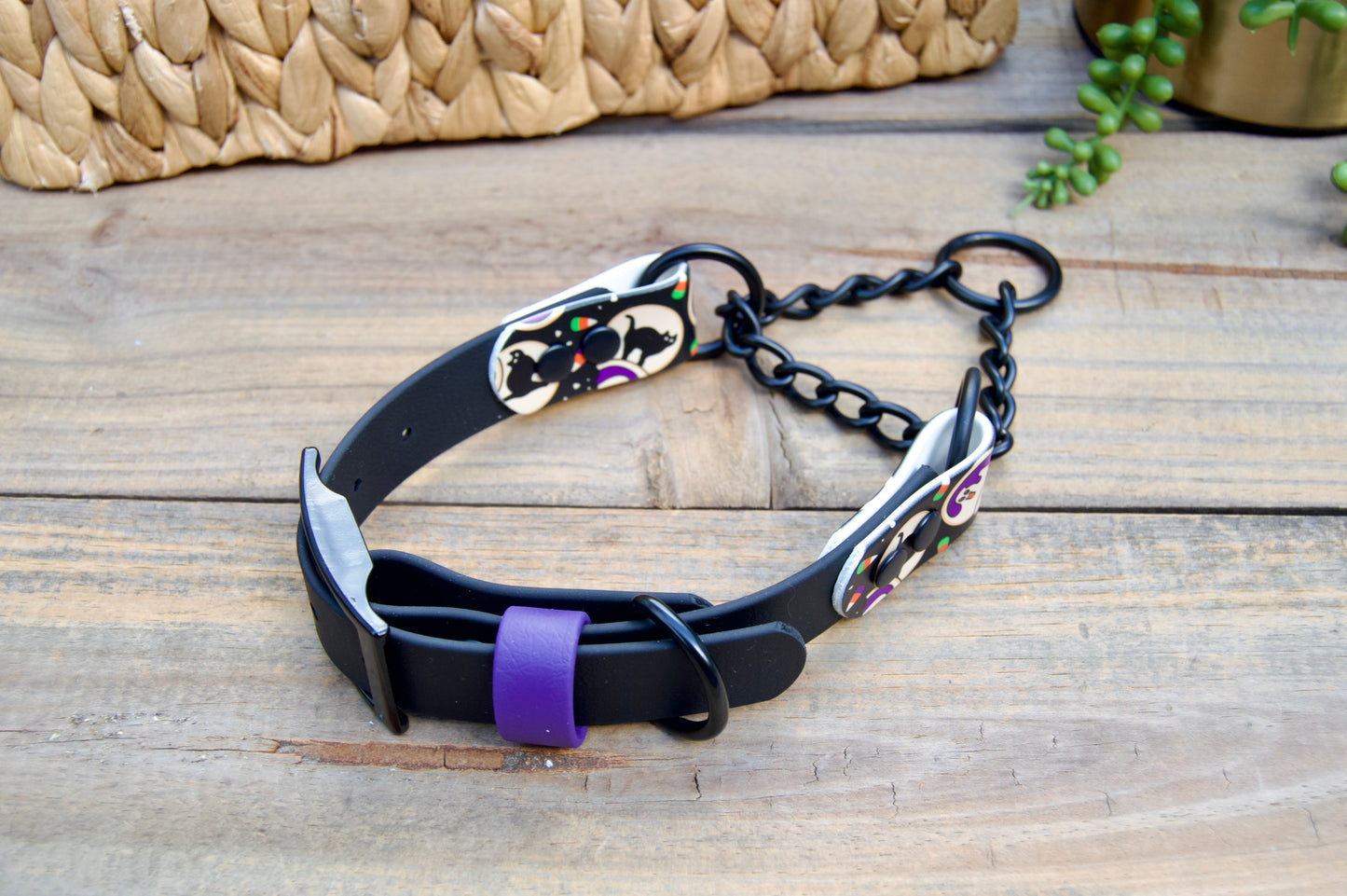 SCRAP SALE: Accent Biothane Chain Martingale