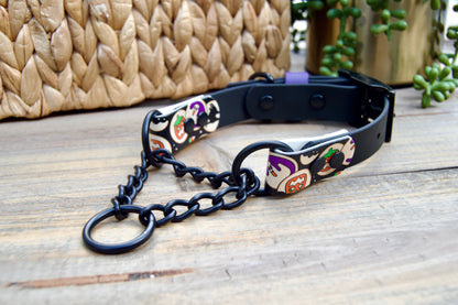 SCRAP SALE: Accent Biothane Chain Martingale