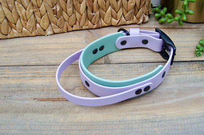 RTS 12.5-15.5 INCH Lilac and Sage Green Sport Handle Biothane Dog Collar