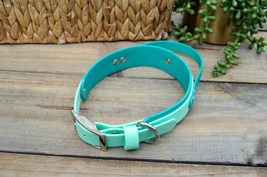 RTS 16-19 INCH Teal and Mint Green Sport Handle Biothane Dog Collar