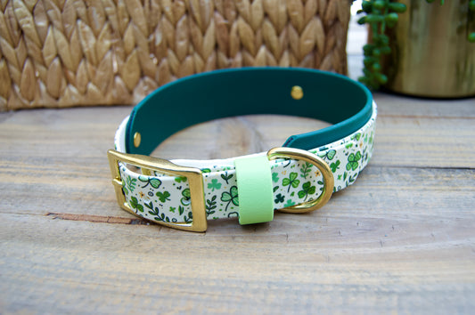 Dog collar with green and white shamrock pattern on a wooden surface