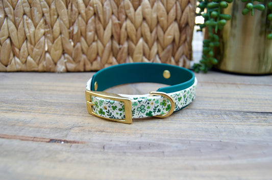 Dog collar with shamrock pattern and gold buckle on a wooden surface