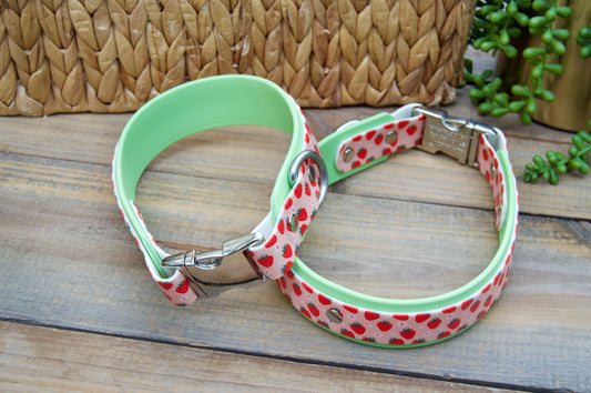 RTS Strawberry/Pastel Green Buckle Biothane Dog Collar