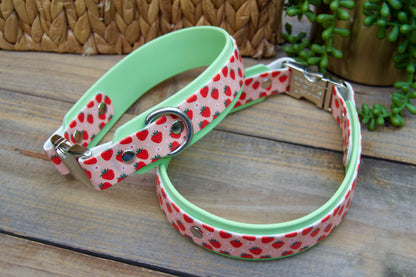 RTS Strawberry/Pastel Green Buckle Biothane Dog Collar