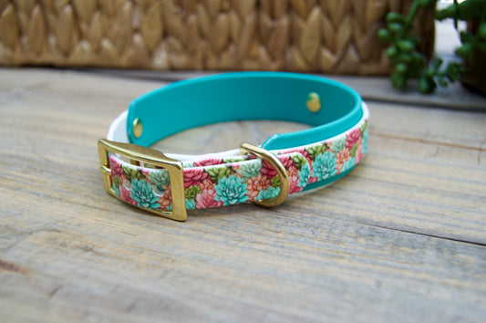 Succulent: Mini Printed Double Layer Biothane Dog Collar