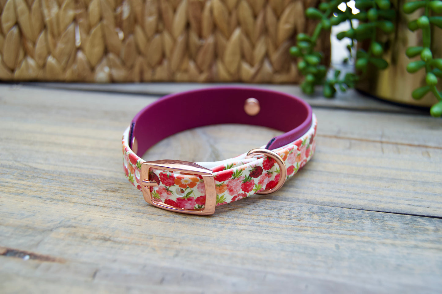 Raspberries: Mini Printed Double Layer Biothane Dog Collar