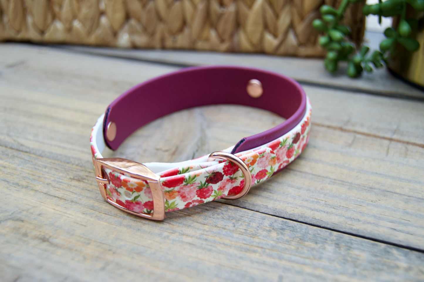 Raspberries: Mini Printed Double Layer Biothane Dog Collar