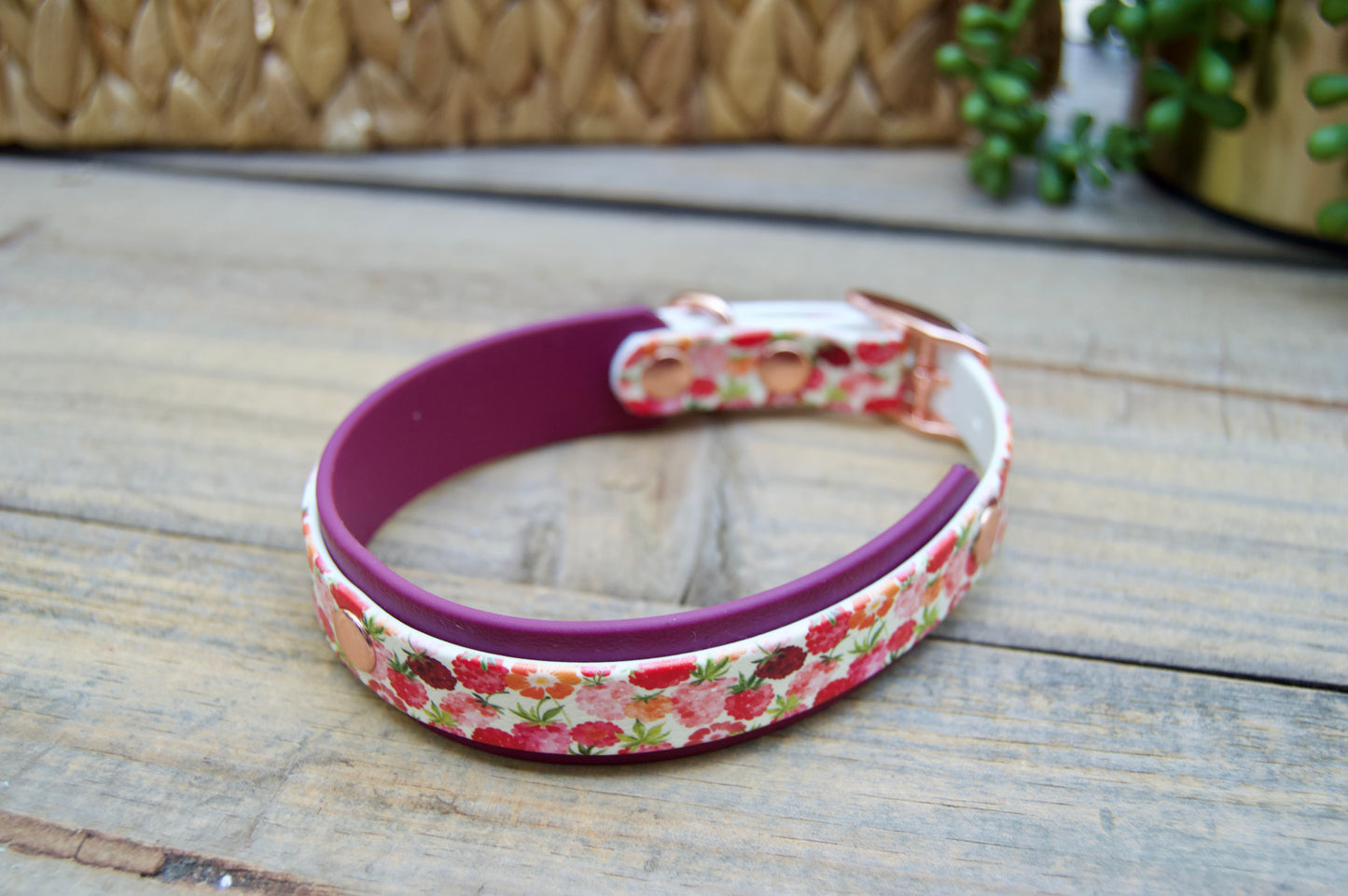 Raspberries: Mini Printed Double Layer Biothane Dog Collar