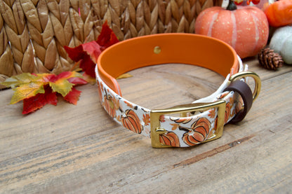 Pumpkins: Printed Double Layer Biothane Dog Collar