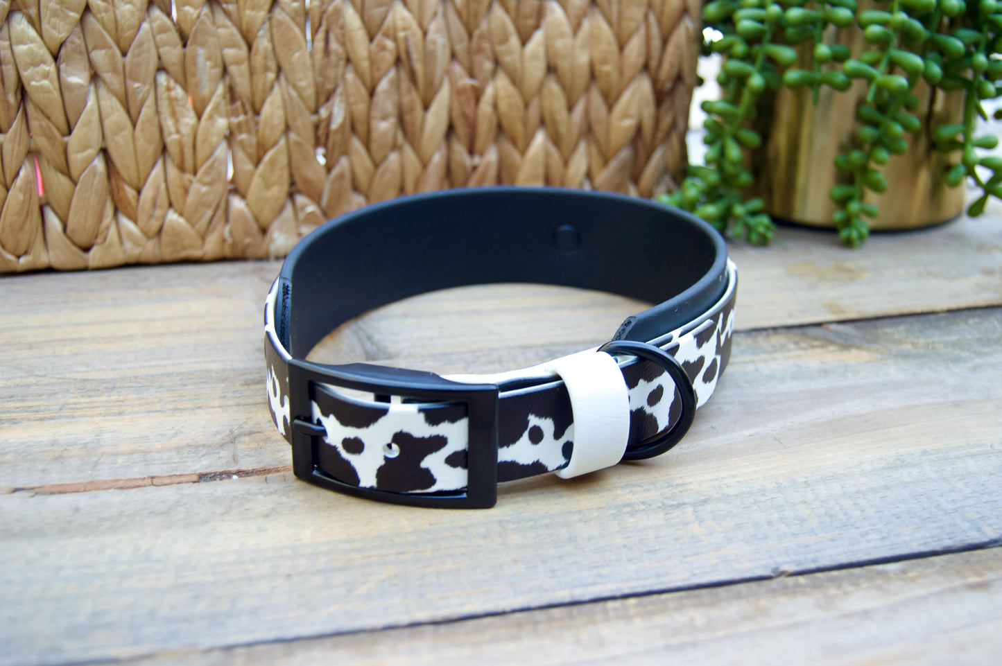 Closeout: Black and Pink Cow Printed Double Layer Biothane Dog Collar