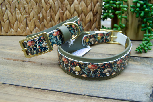 RTS Mushrooms and Olive Green Printed Double Layer Biothane Dog Collar