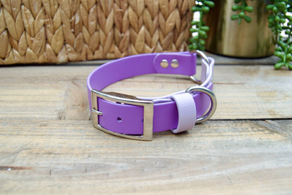 RTS Medium 13-16 INCH Lilac and Amethyst O-Ring Biothane Dog Collar