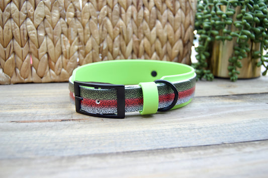 Closeout: Trout Printed Double Layer Biothane Dog Collar
