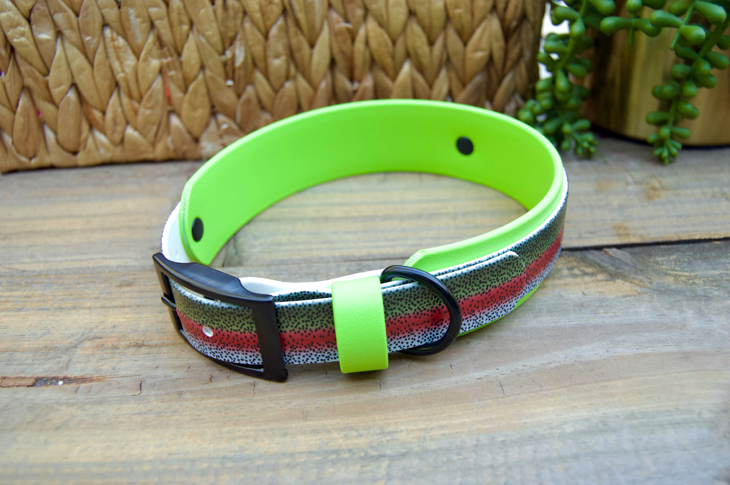 Closeout: Trout Printed Double Layer Biothane Dog Collar