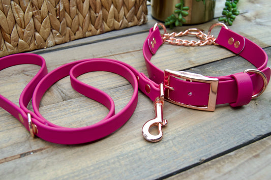 RTS 3FT and XLarge 19-22 INCH Magenta Chian Martignale Biothane Dog Collar and Leash