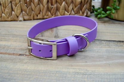RTS 1 Inch Classic Biothane Dog Collar