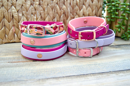 RTS: Mini 11-13 INCH Double Layer Biothane Dog Collars