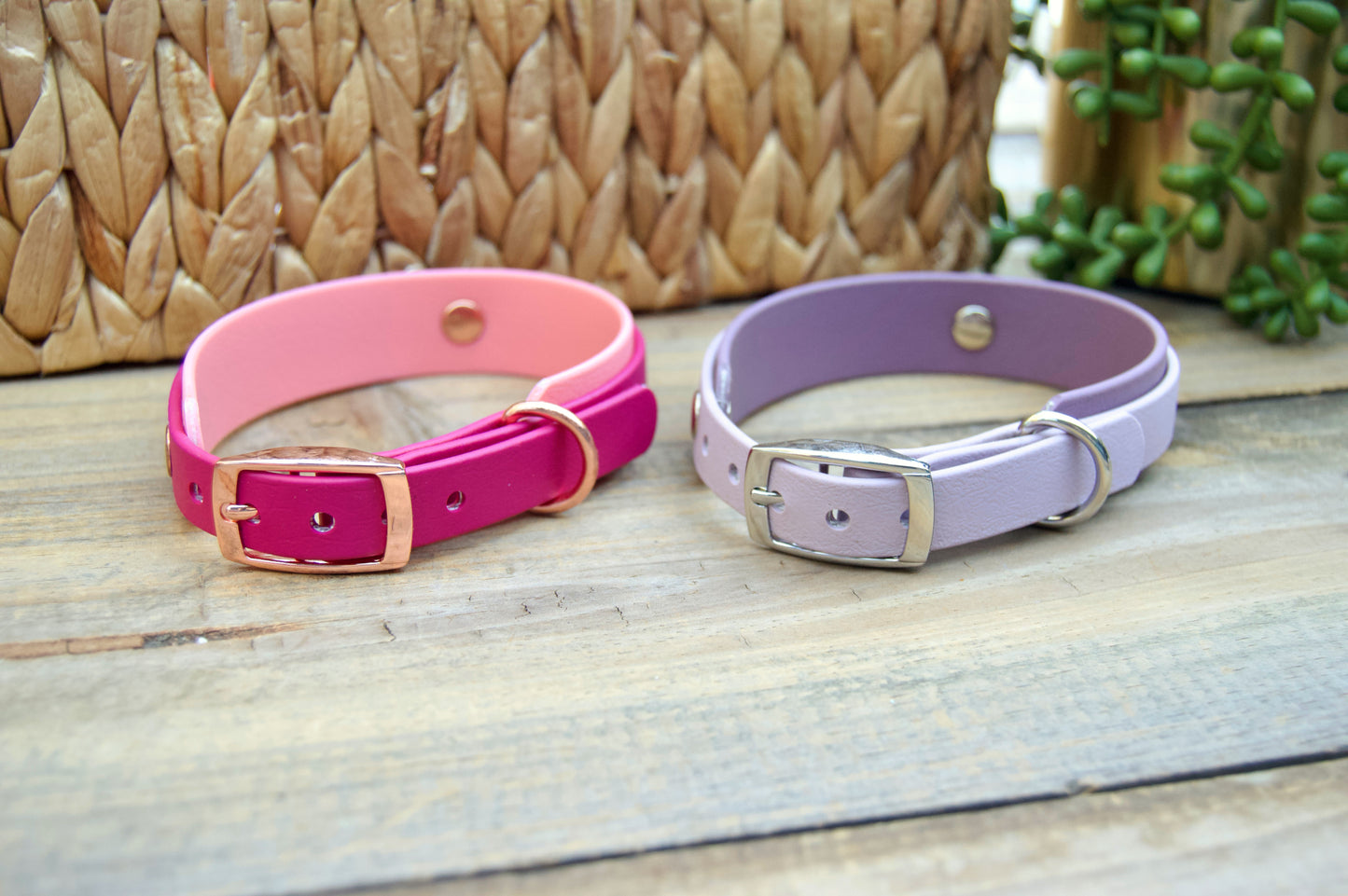 RTS: Mini 11-13 INCH Double Layer Biothane Dog Collars