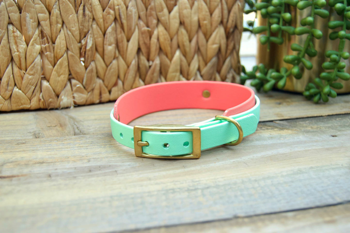 RTS: Mini 11-13 INCH Double Layer Biothane Dog Collars