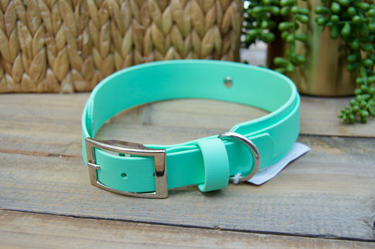 RTS 19-22 INCH Mint Green Double Layer Biothane Dog Collar