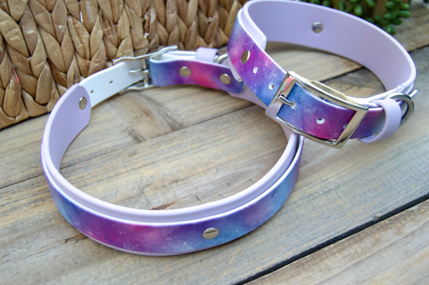 Closeout: Nebula Printed Double Layer Biothane Dog Collar