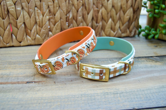 RTS Mini 11-13 INCH Fall Double Layer Biothane Dog Collar