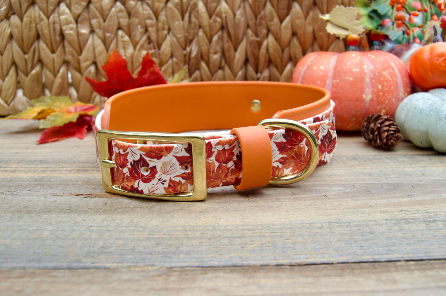 Fall Leaves patterned dog collar with orange accents on a wooden surface with pumpkins and leaves decoration 