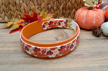 Dog collar with autumn leaf pattern on a wooden surface with pumpkins and leaves decoration 