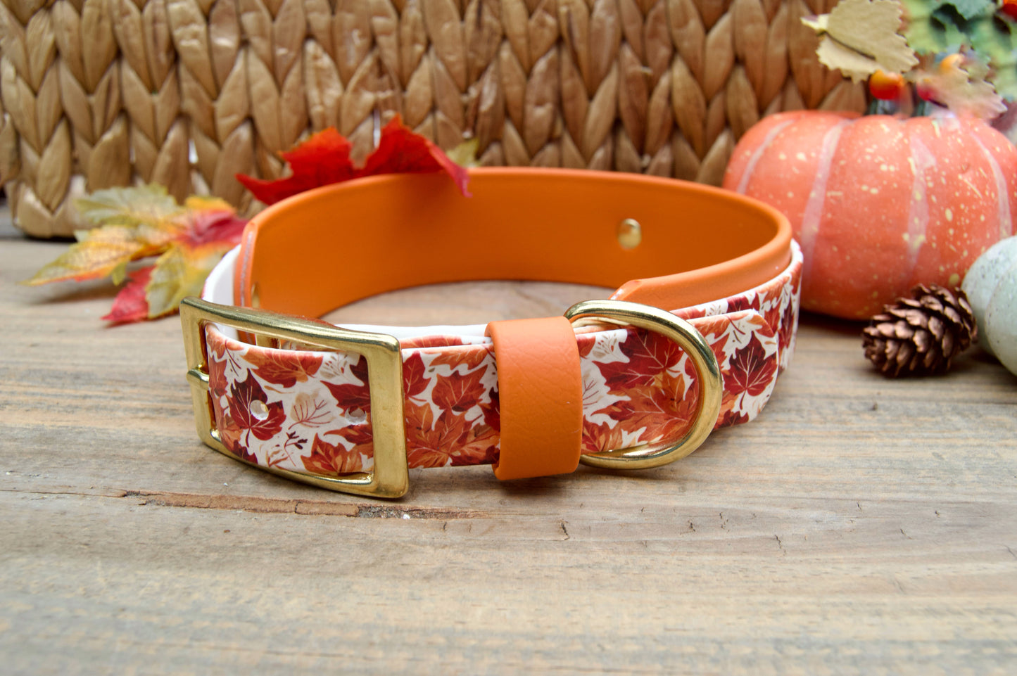 Dog collar with autumn leaf pattern on a wooden surface with pumpkins and leaves.