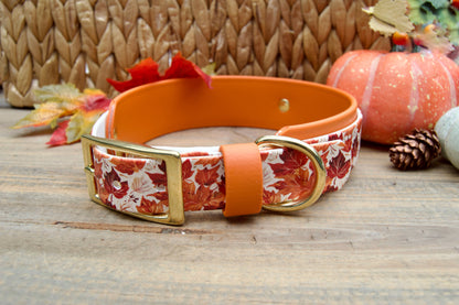Dog collar with autumn leaf pattern on a wooden surface with pumpkins and leaves.