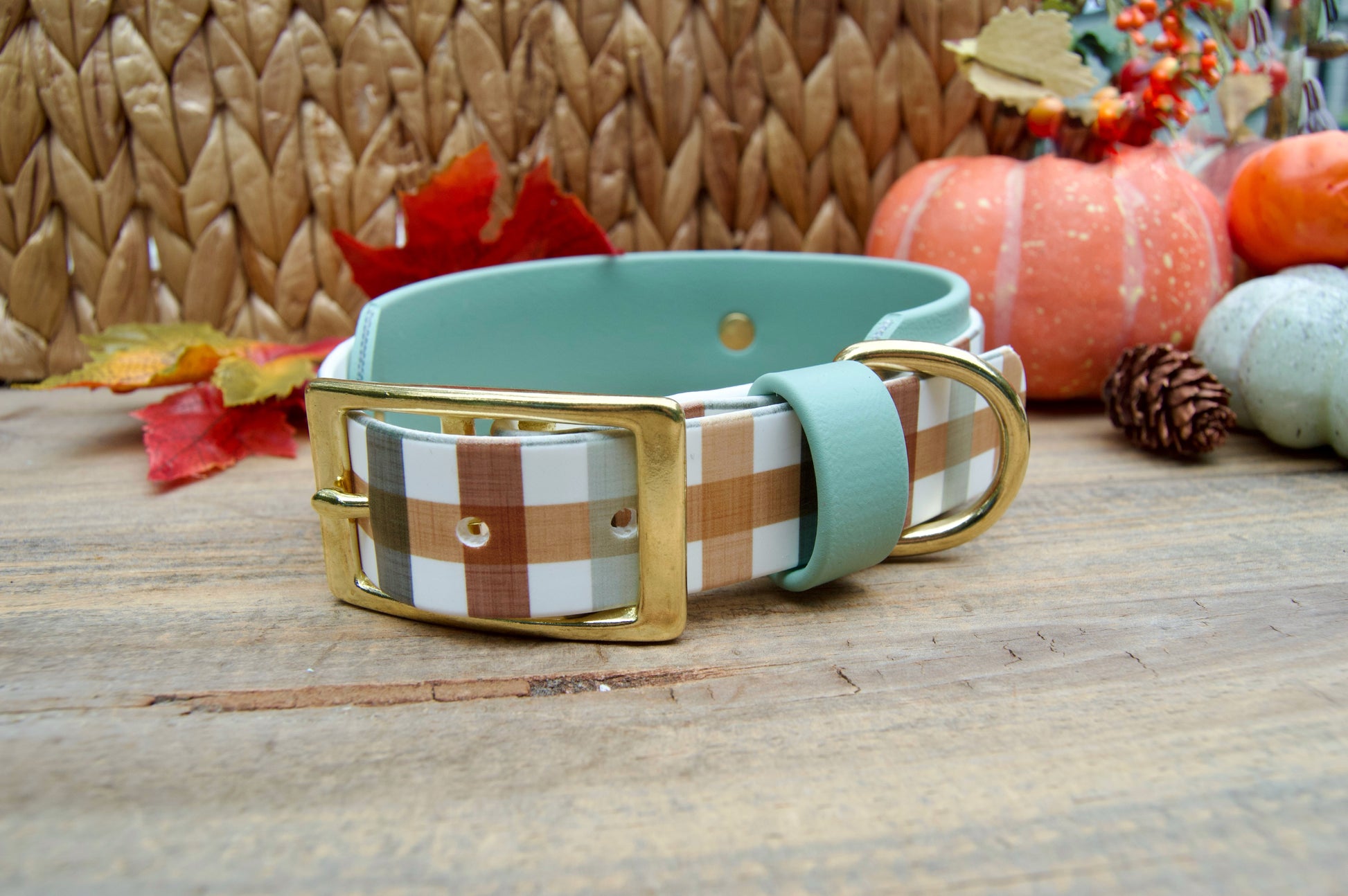 Dog collar with plaid pattern and gold buckle on a wooden surface with pumpkins and leaves decoration